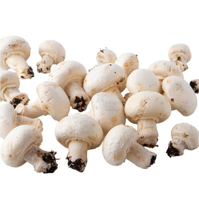 Шампиньоны свежие 500 г - купить в Каранбаше